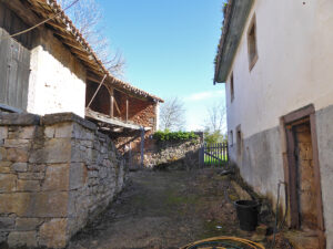 farmhouse with land for sale in Grado