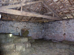 farmhouse with land for sale in Grado