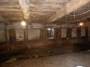 farmhouse with land for sale in Grado