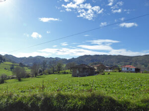 farmhouse with land for sale in Grado