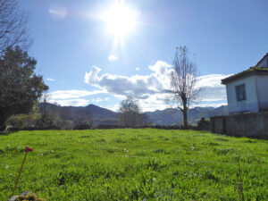 farmhouse with land for sale in Grado