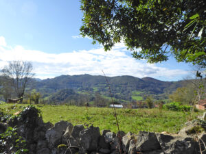 farmhouse with land for sale in Grado