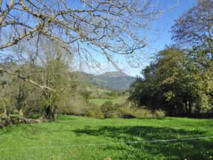 farmhouse with land for sale in Grado