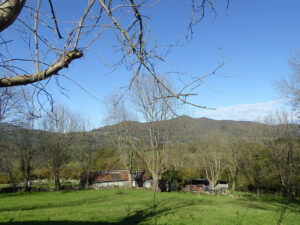 farmhouse with land for sale in Grado