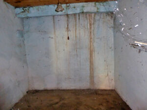 rural house with land to restore in Asturias