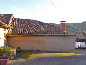 rural house with land to restore in Asturias