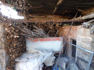 rural house with land to restore in Asturias