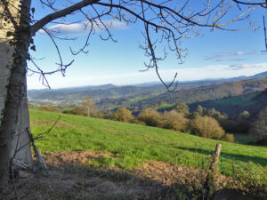 rural house with land to restore in Asturias