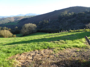 rural house with land to restore in Asturias