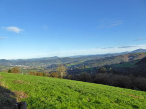 rural house with land to restore in Asturias