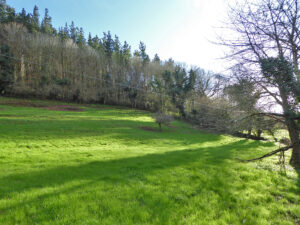 rural property for sale in Candamo