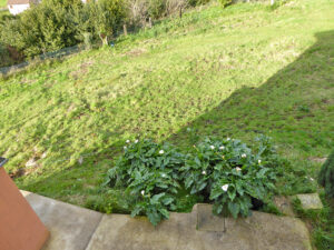 Casa with land for sale in Asturias