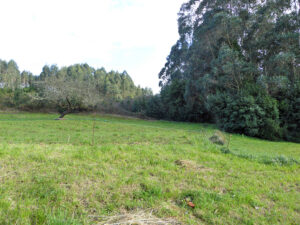 Casa with land for sale in Asturias