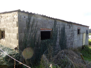 Casa with land for sale in Asturias