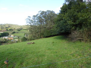 Casa with land for sale in Asturias