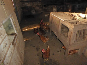 Casa with land for sale in Asturias