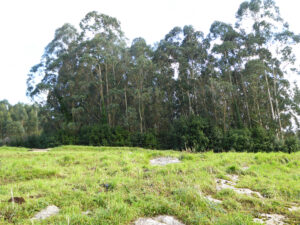 Casa with land for sale in Asturias