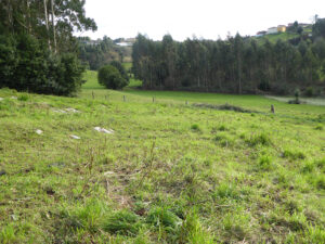 Casa with land for sale in Asturias