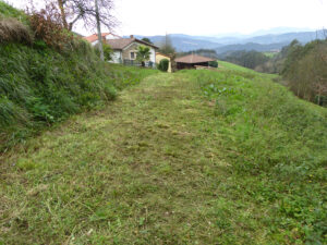 rural apartments in Pravia