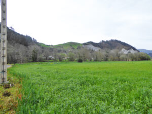 detached property for sale in Salas
